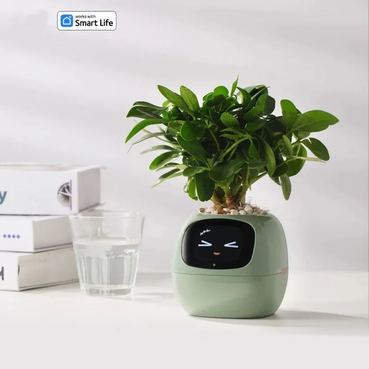 Smart Small Flower Pot