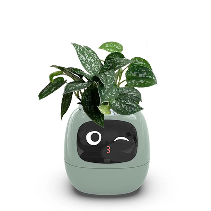 Smart Small Flower Pot